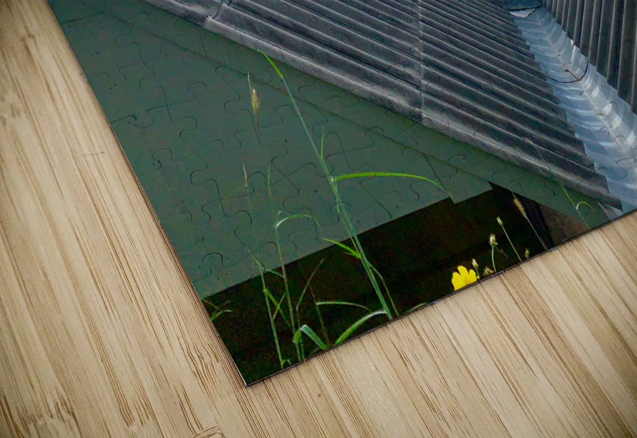 V Roof View Jimmy Roy Photos Puzzle