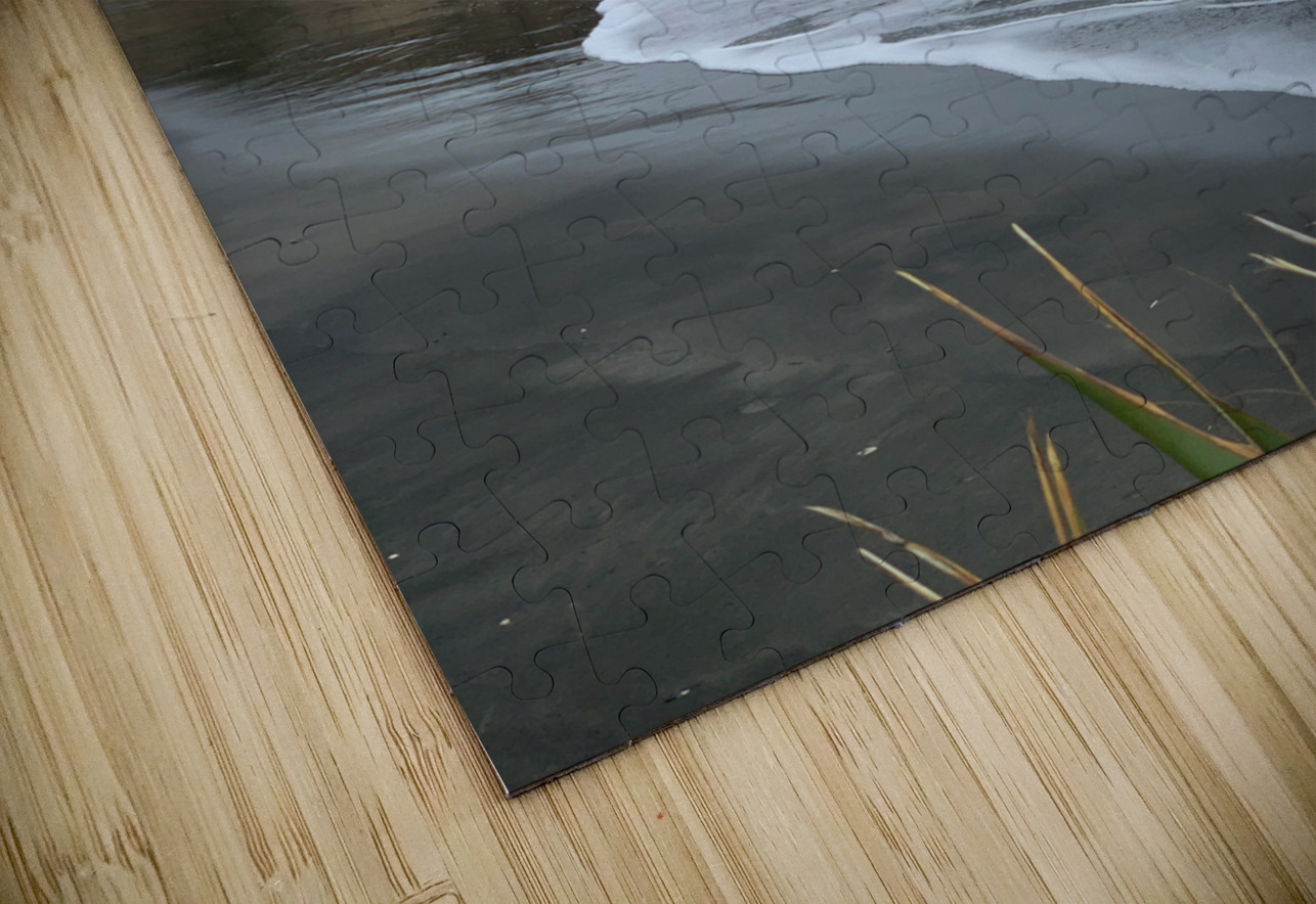 Black Sand on the Coast Jimmy Roy Photos Puzzle