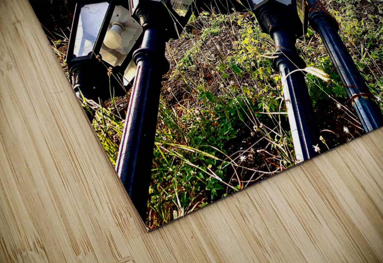 Falling Lamp posts  for the Sunset Jimmy Roy Photos Puzzle