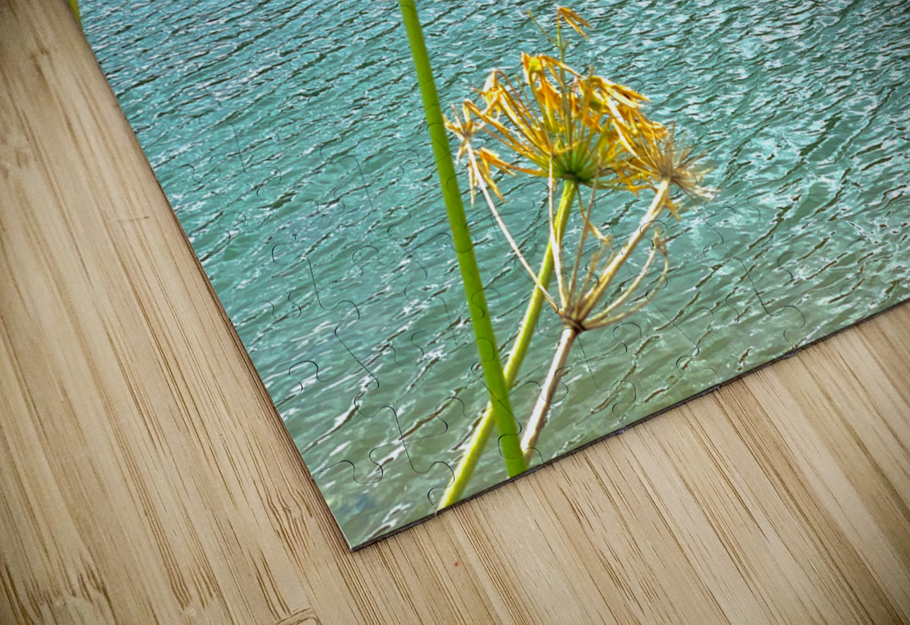 Empty Boat on the Lake Jimmy Roy Photos Puzzle