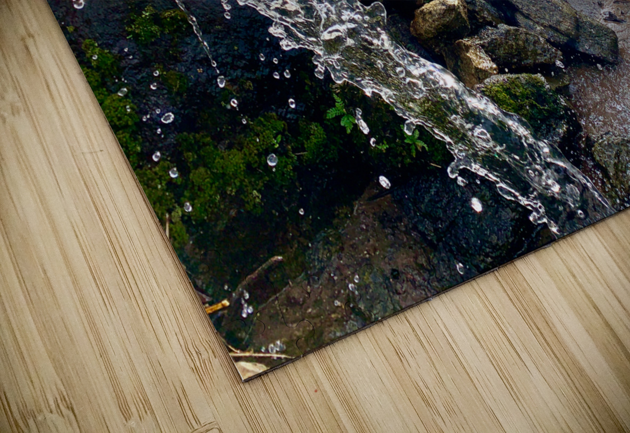 Water for the Rice Field Workers Jimmy Roy Photos Puzzle