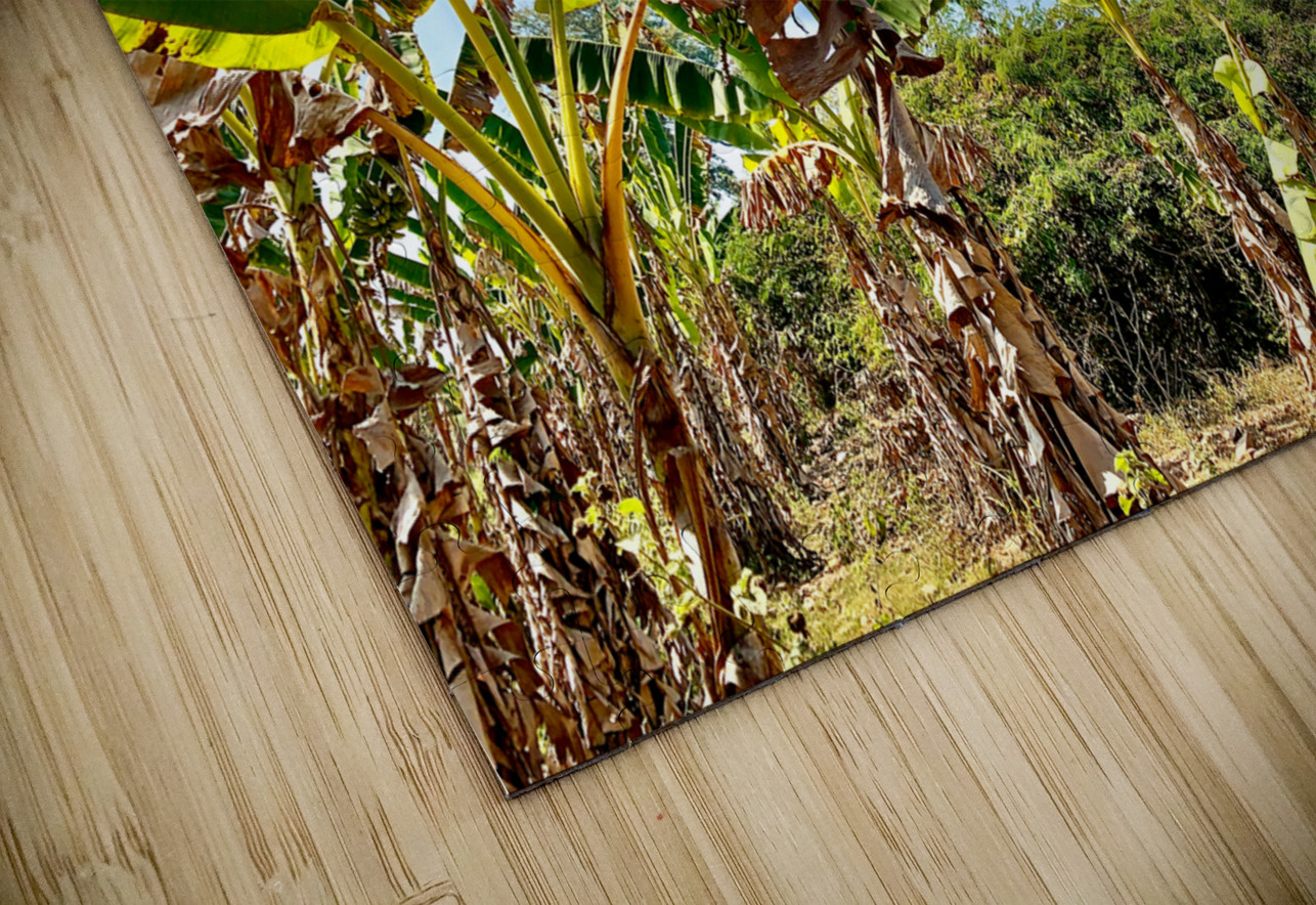 Tower in the Field Jimmy Roy Photos Puzzle