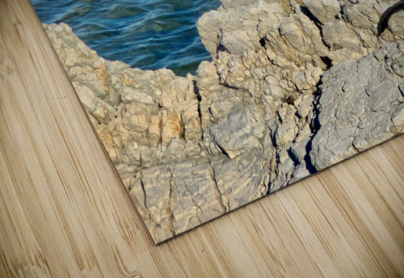 Seal Looking Back at You Jimmy Roy Photos Puzzle