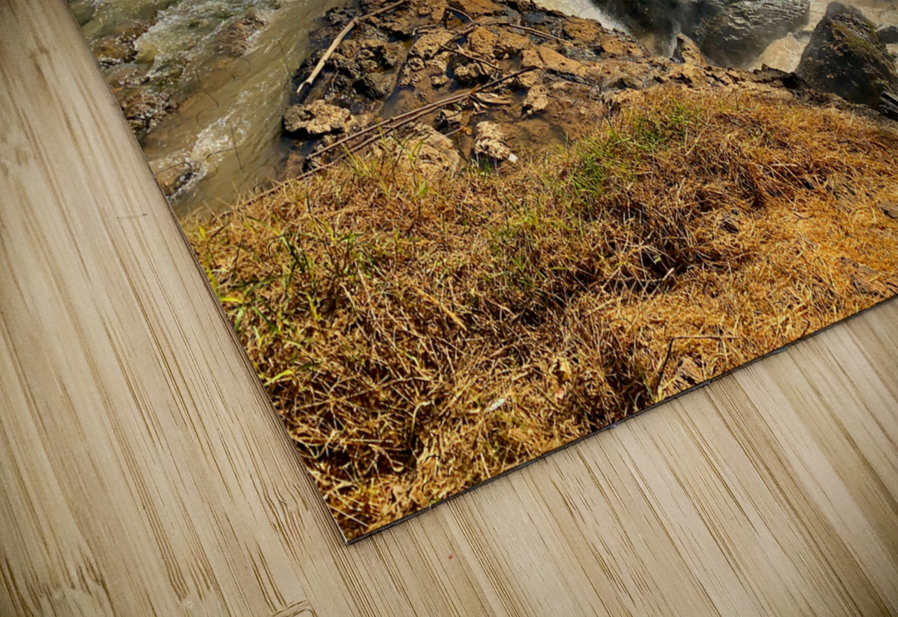 Elephant Waterfall Vietnam Jimmy Roy Photos Puzzle