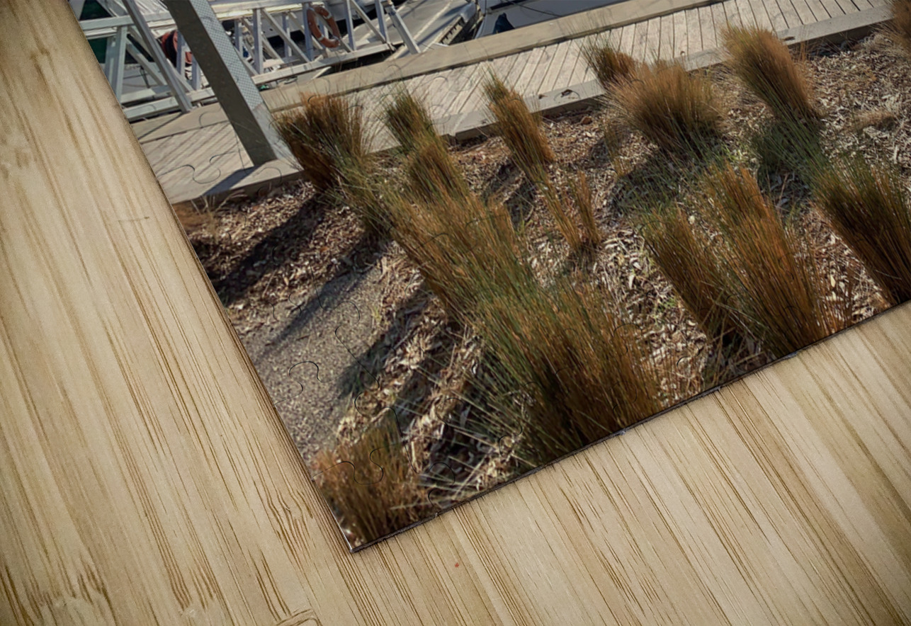 Boats at the Marina Jimmy Roy Photos Puzzle