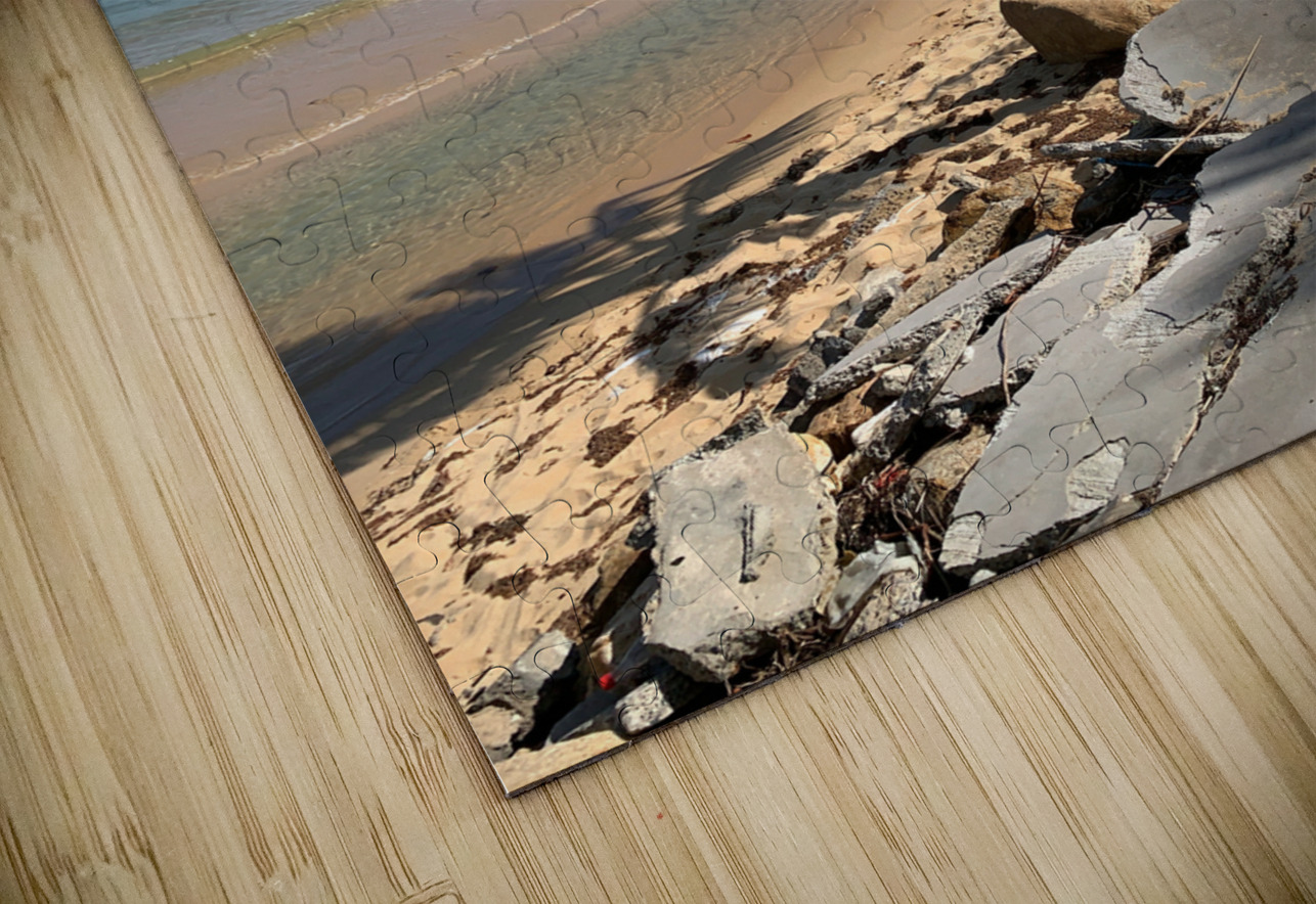 Mini Palm Tree Jimmy Roy Photos Puzzle