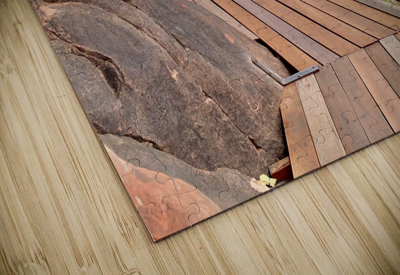 The Amazing Wat Phu Tok 1 Jimmy Roy Photos Puzzle