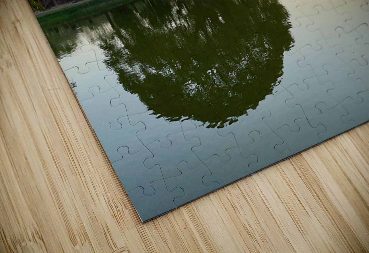 Nice Tree Reflection on the Lake Jimmy Roy Photos Puzzle