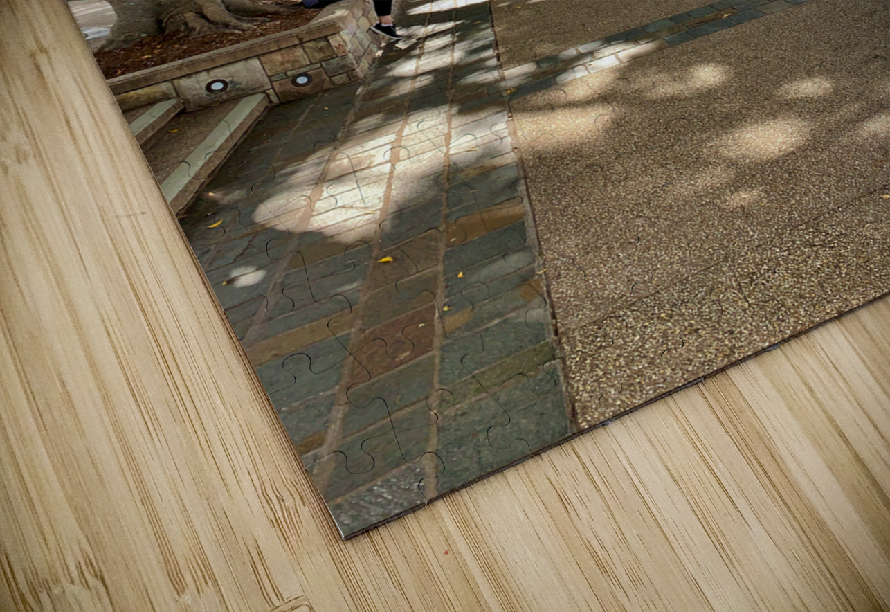 Walking Around Brisbane Jimmy Roy Photos Puzzle