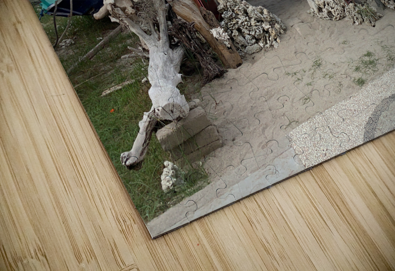 Crazy Island Barbershop Jimmy Roy Photos Puzzle