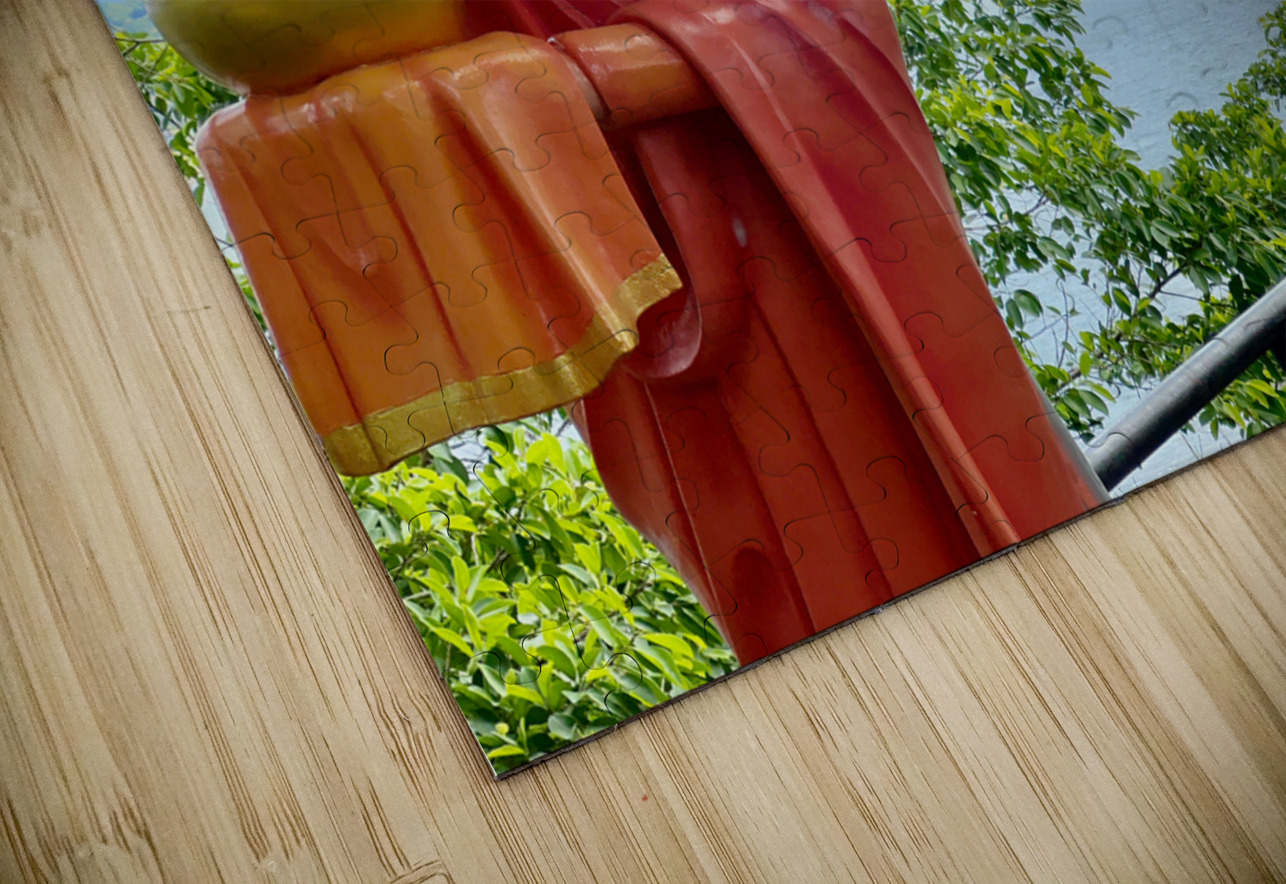 The Monkey and the Monk Jimmy Roy Photos Puzzle