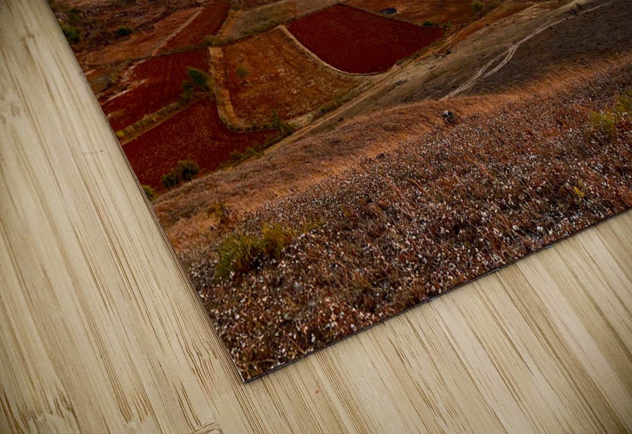 Earth Tones Sunset Jimmy Roy Photos Puzzle