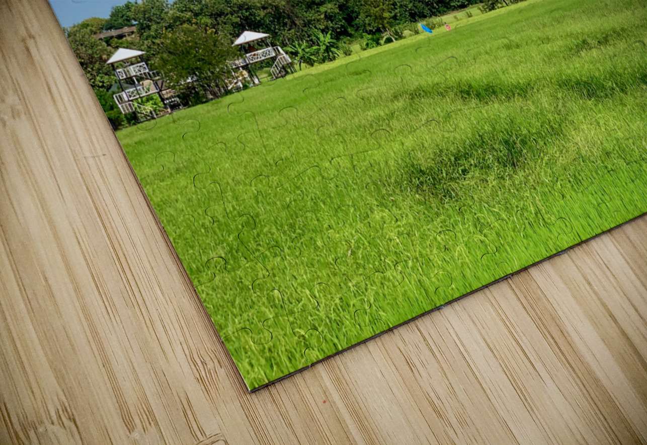 Wat Tham Suea 5 Jimmy Roy Photos Puzzle