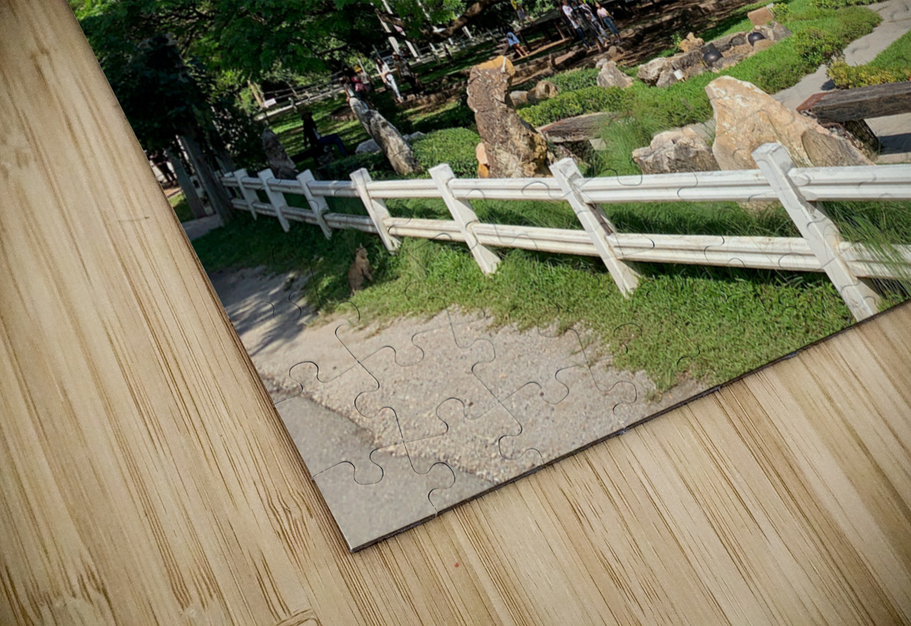 Giant Raintree 1 Jimmy Roy Photos Puzzle