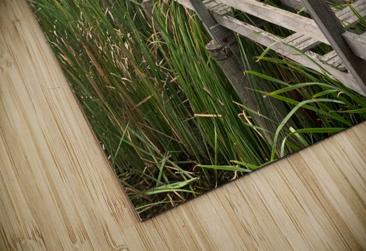 At Your Own Risks Jimmy Roy Photos Puzzle