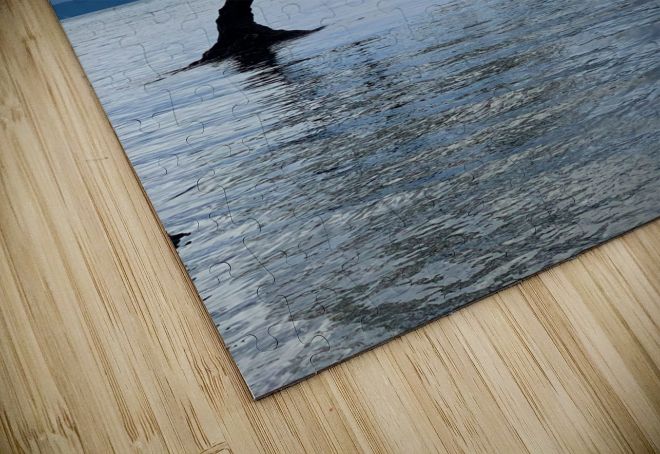 The Wanaka Tree New Zealand 2 Jimmy Roy Photos Puzzle