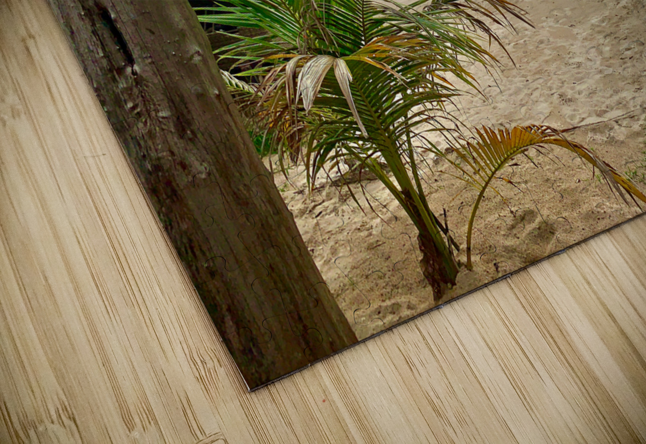 A Peak at the Beach Jimmy Roy Photos Puzzle