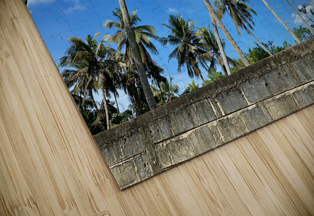Palm Trees behind the Wall Jimmy Roy Photos Puzzle