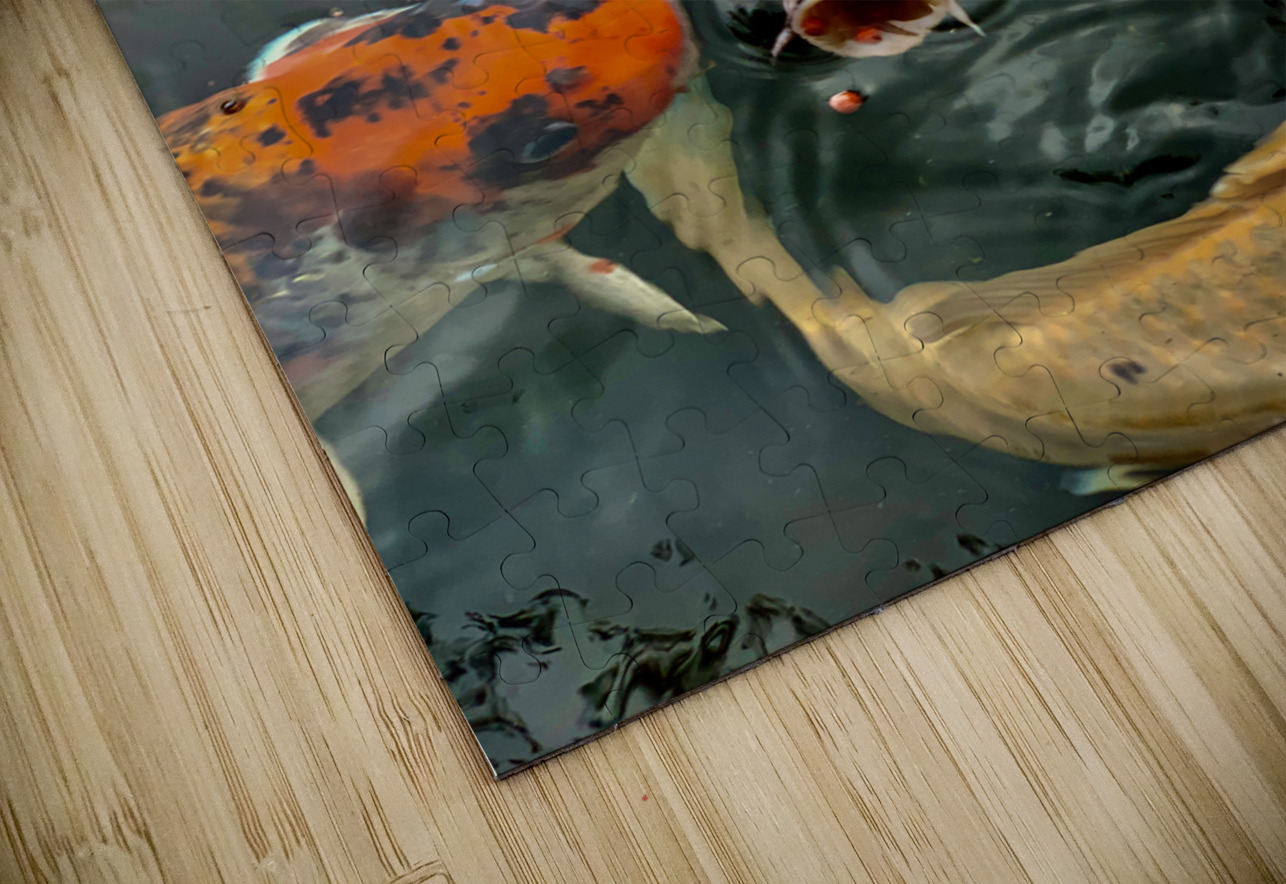 Plenty of Colorful Fish Jimmy Roy Photos Puzzle