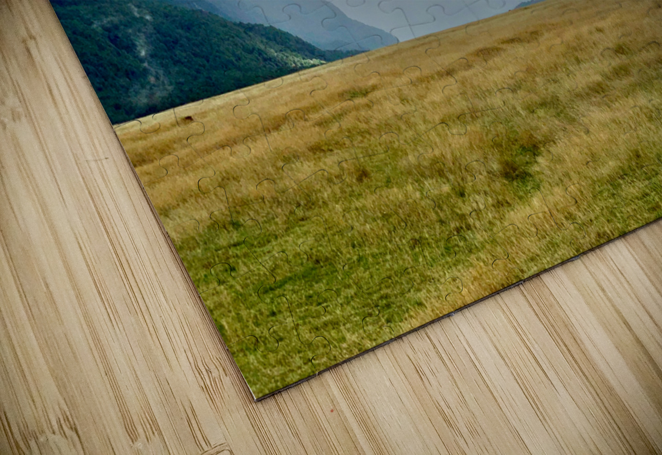 Ray of Lights in the Valley Jimmy Roy Photos Puzzle