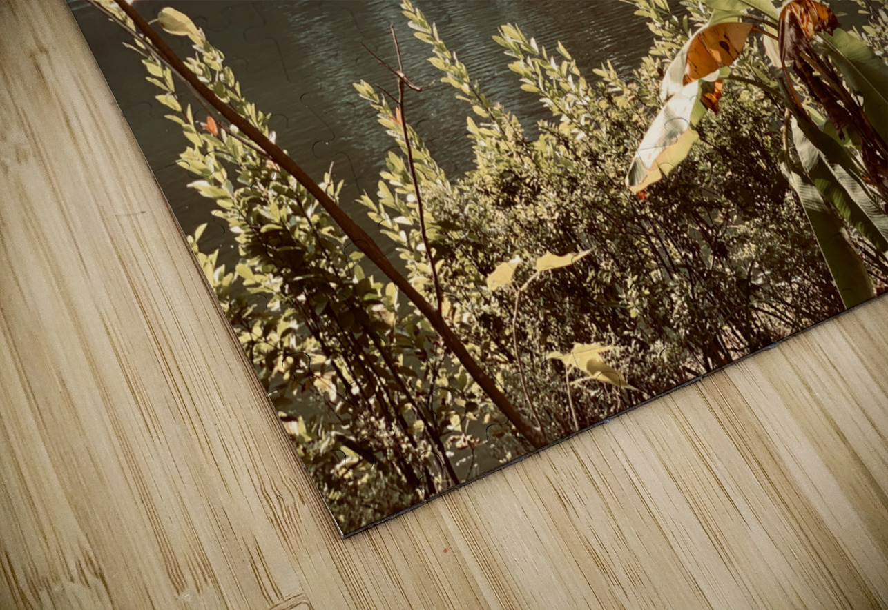 Pagoda on the Lake Vietnam Jimmy Roy Photos Puzzle