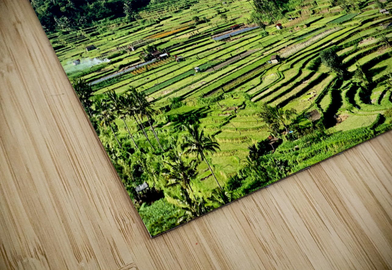 Mount Agung with Rice Fields Bali Jimmy Roy Photos Puzzle