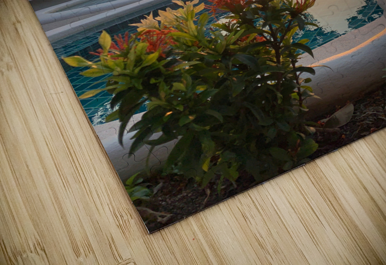 Sunset Reflection in the Pool Jimmy Roy Photos Puzzle