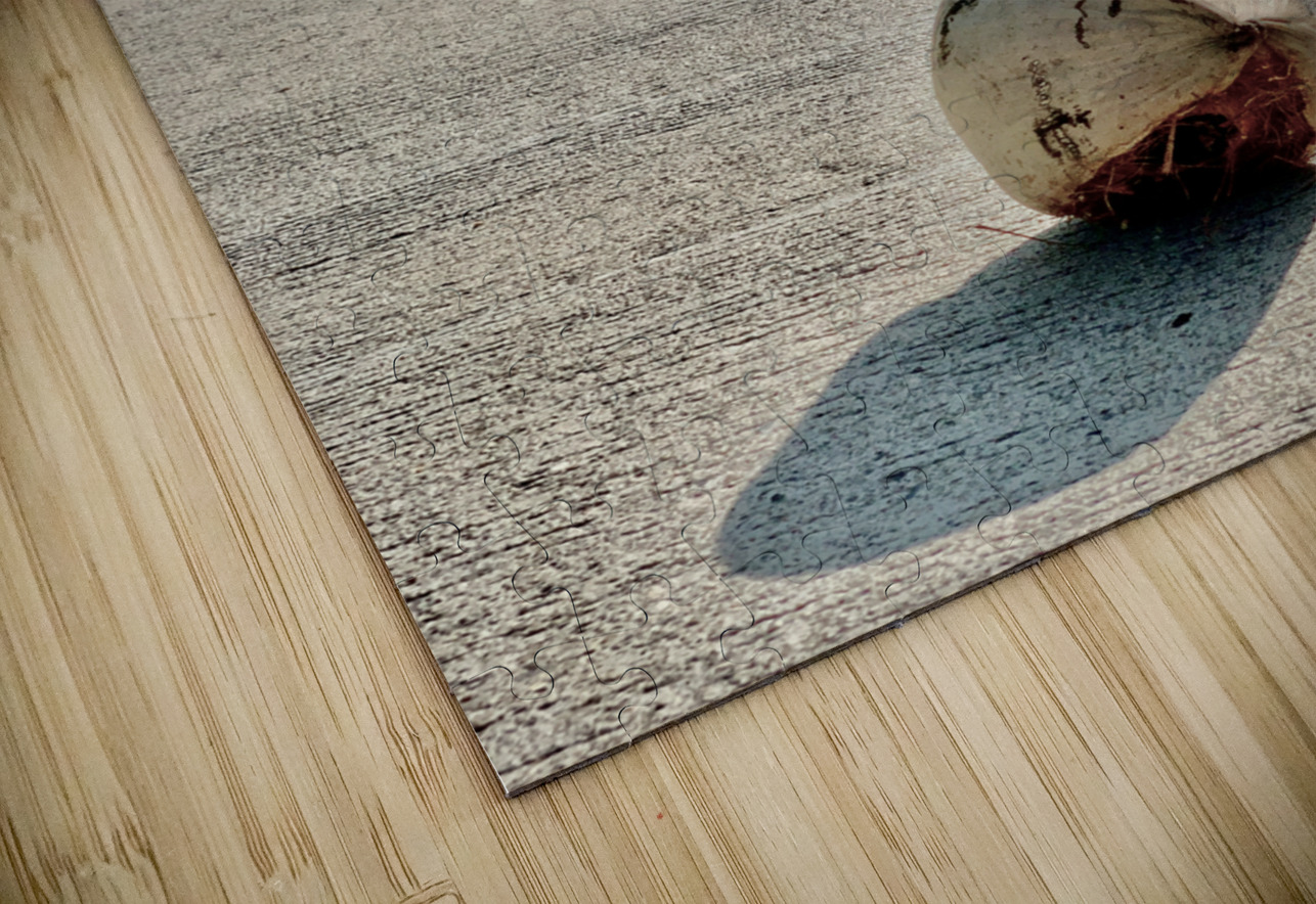 Coconut Shadow Jimmy Roy Photos Puzzle