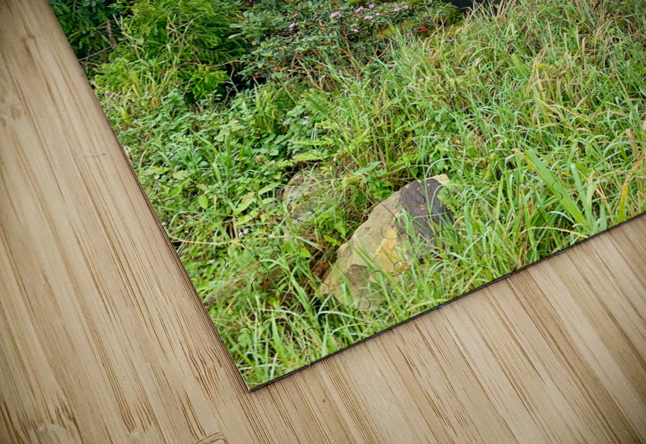 Abandonned House in Bokor Cambodia Jimmy Roy Photos Puzzle