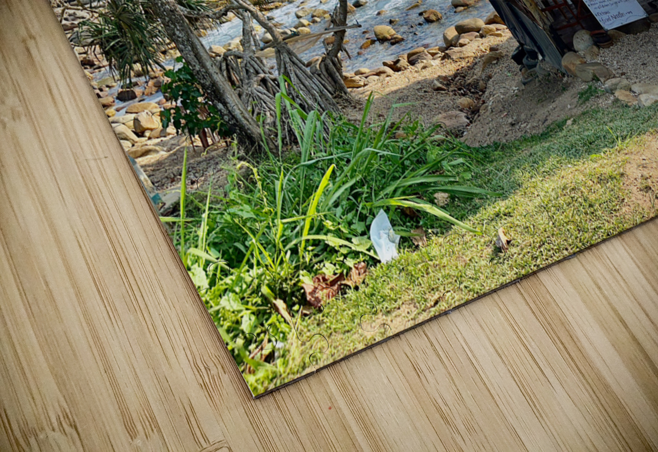 Freedom Cafe Shack Jimmy Roy Photos Puzzle