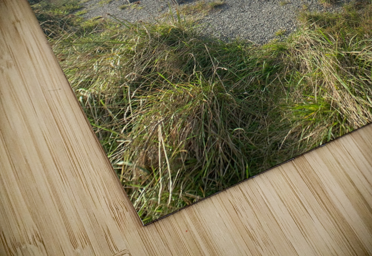 Riding in the Mountains Jimmy Roy Photos Puzzle