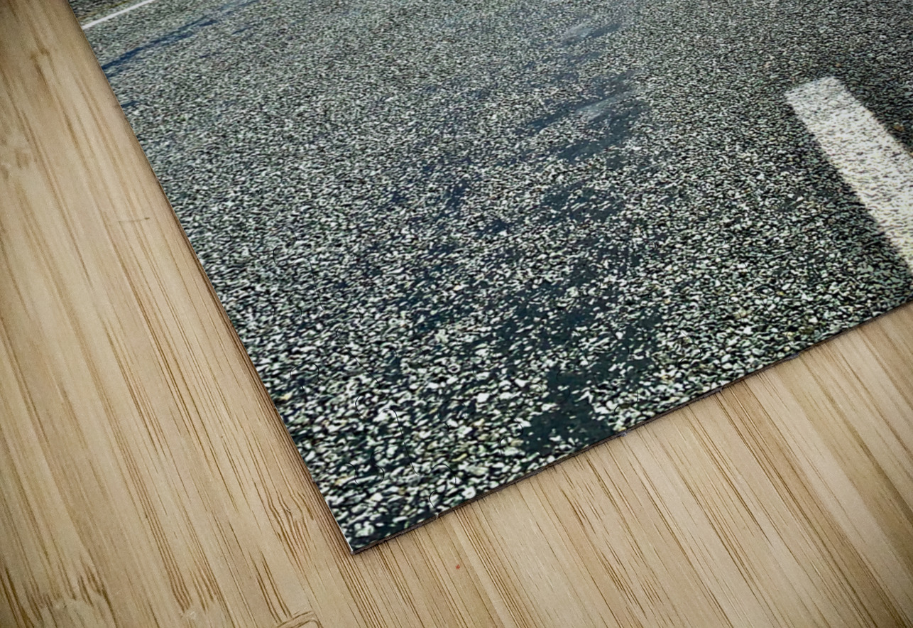 New Zealand Roads Jimmy Roy Photos Puzzle