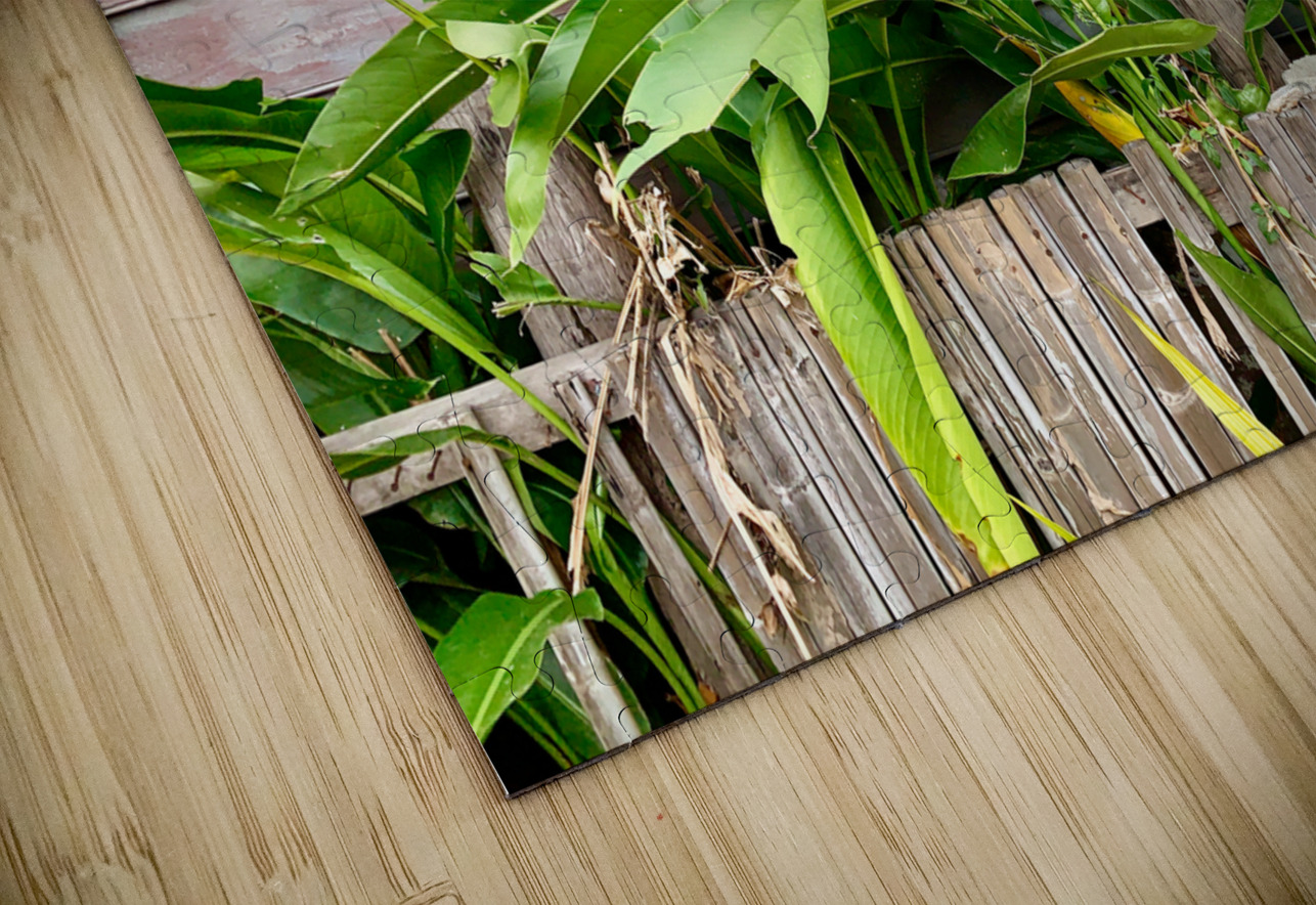 Plants Growing on the Side of the House Jimmy Roy Photos Puzzle