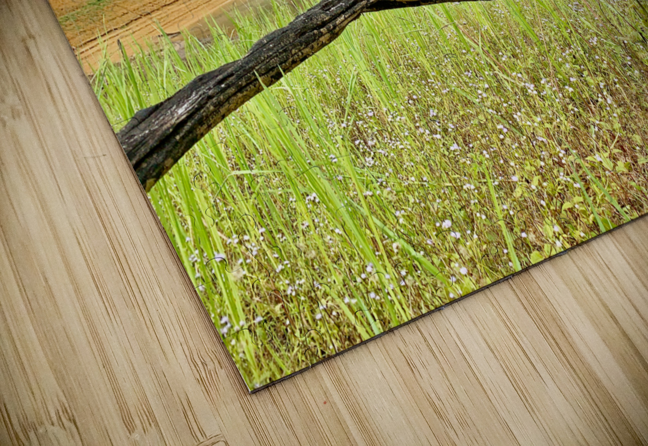 Khao Sok National Park 1 Jimmy Roy Photos Puzzle