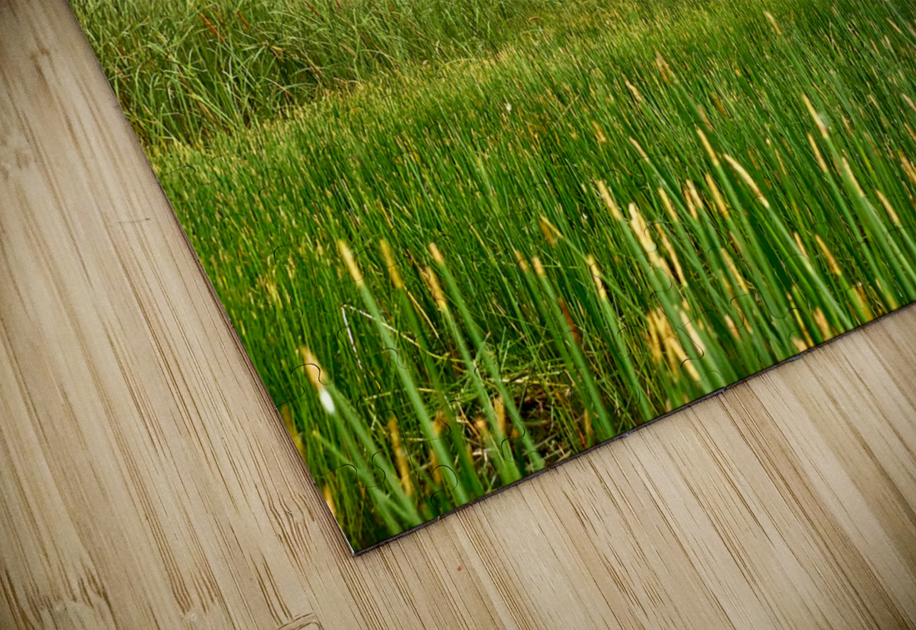 Sam Roi Yot National Park Thailand 4 Jimmy Roy Photos Puzzle