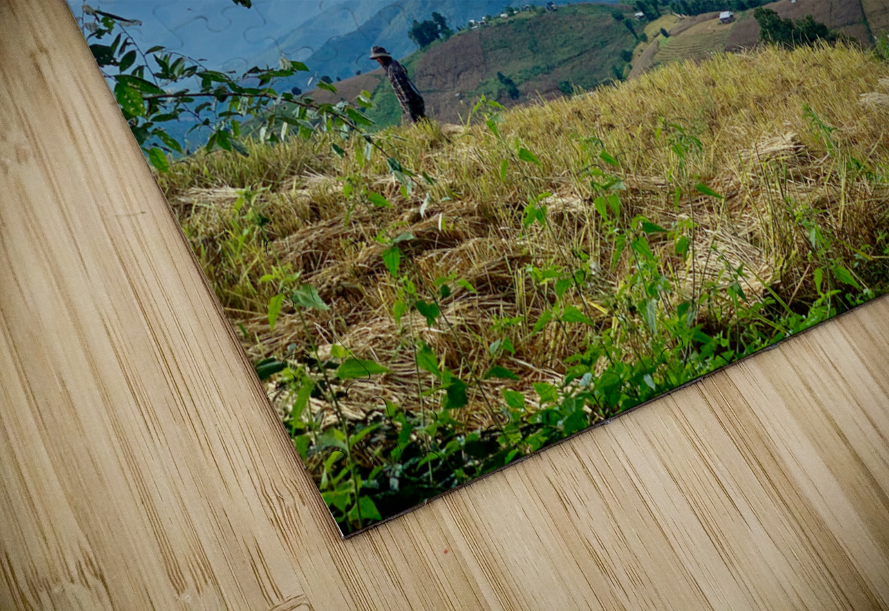 Amazing Landscape Jimmy Roy Photos Puzzle