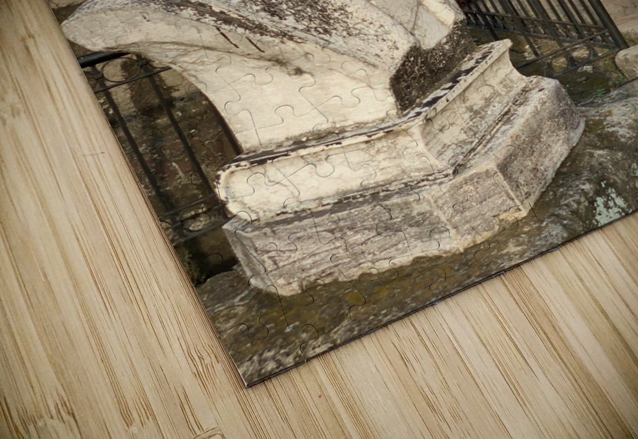 Busted Door Jimmy Roy Photos Puzzle