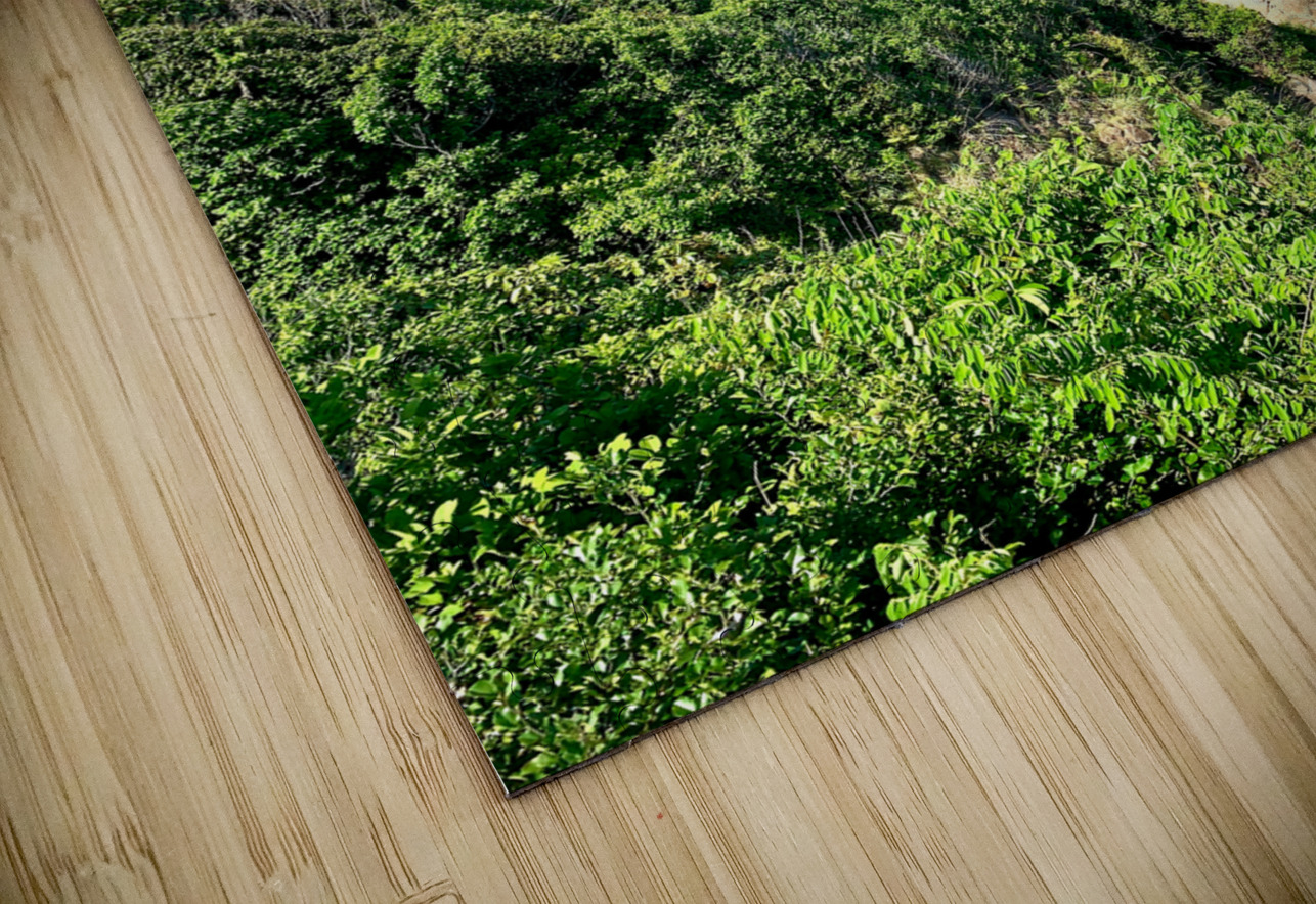 Blue Water in the Bay Jimmy Roy Photos Puzzle