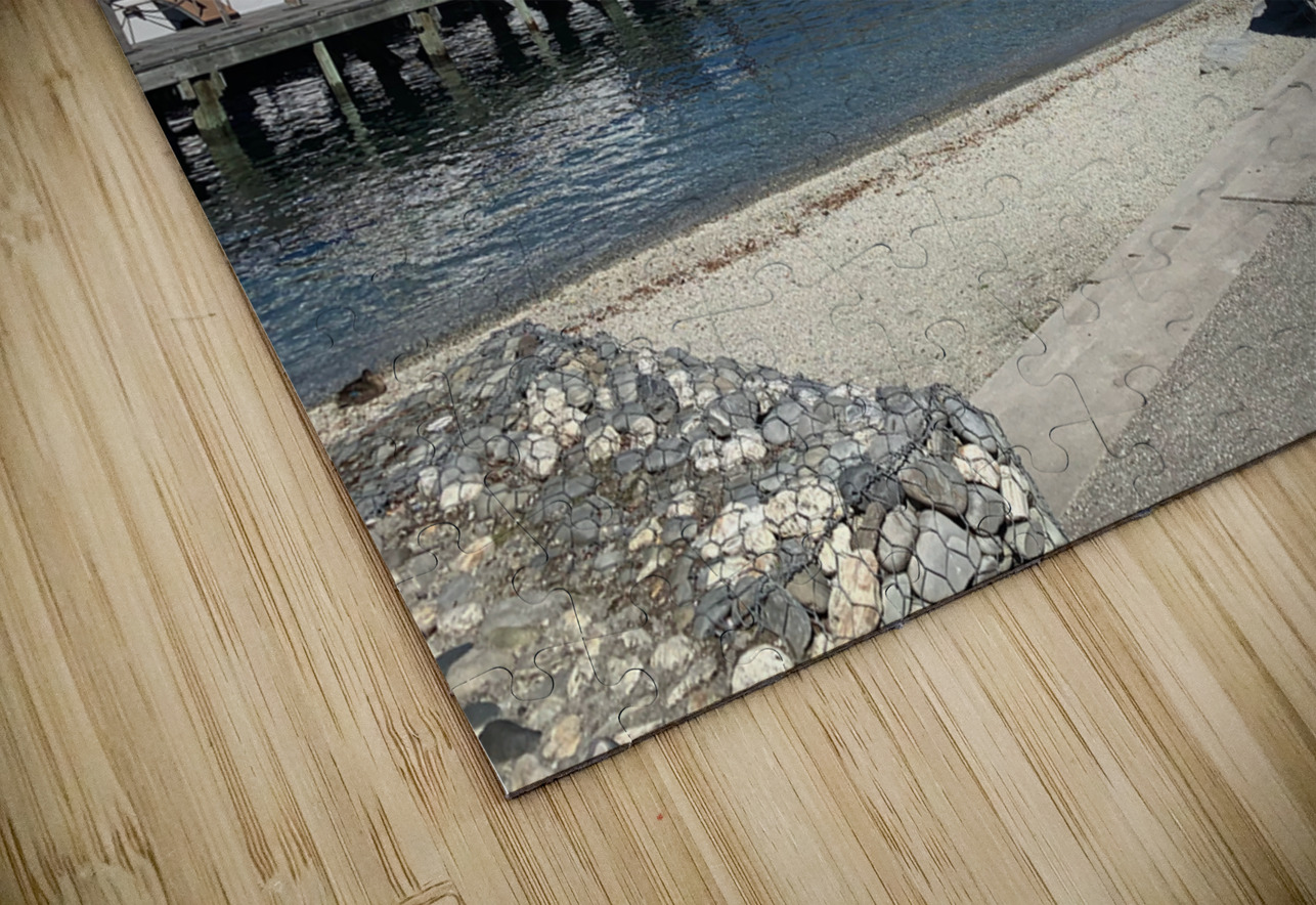 Queenstown Lake New Zealand Jimmy Roy Photos Puzzle