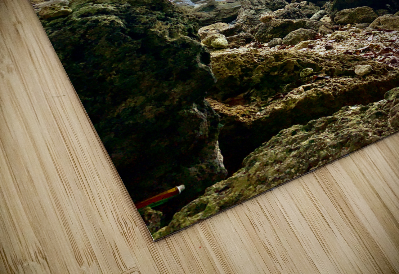 Mysterious Island Bay Jimmy Roy Photos Puzzle