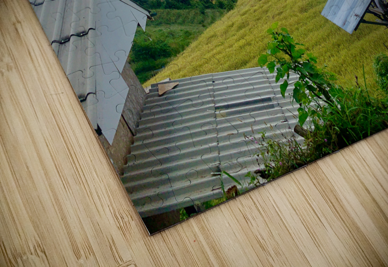 Village in the Rice Fields Jimmy Roy Photos Puzzle