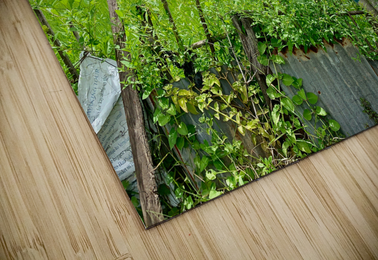 Village House Jimmy Roy Photos Puzzle