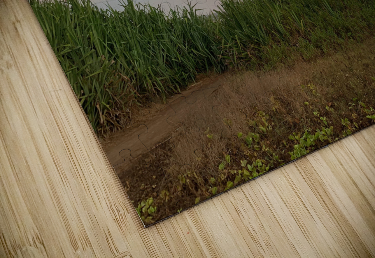 Calming Sky Jimmy Roy Photos Puzzle