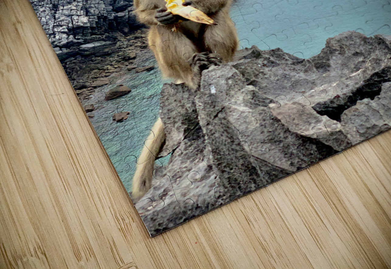 Monkey Eating a Banana Jimmy Roy Photos Puzzle