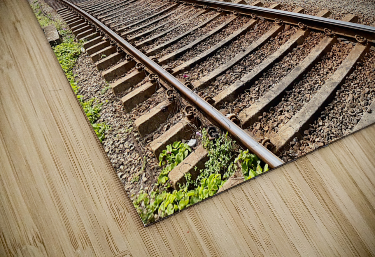 Railroad by the Ocean 3 Jimmy Roy Photos Puzzle