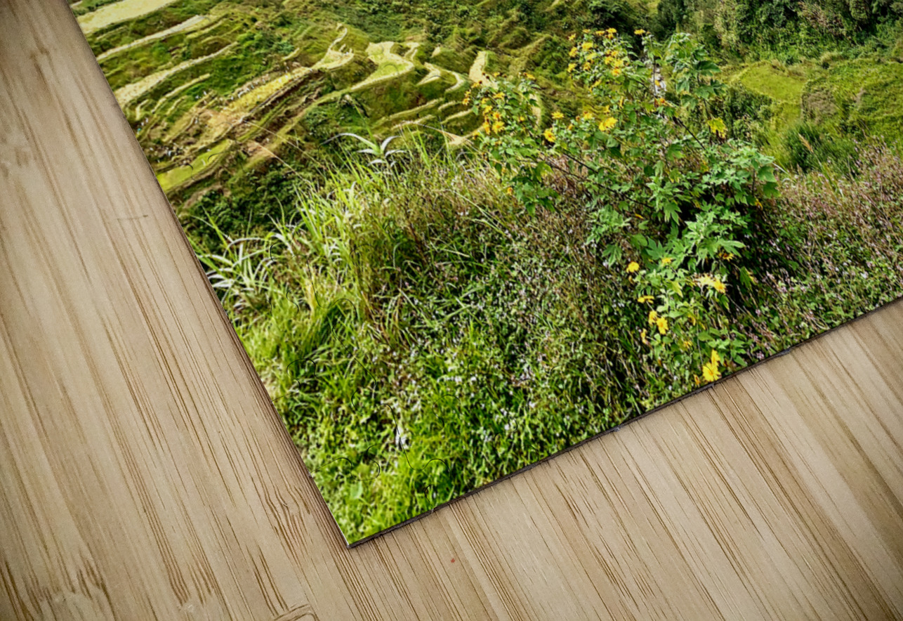 Banaue Philippines 10 Jimmy Roy Photos Puzzle