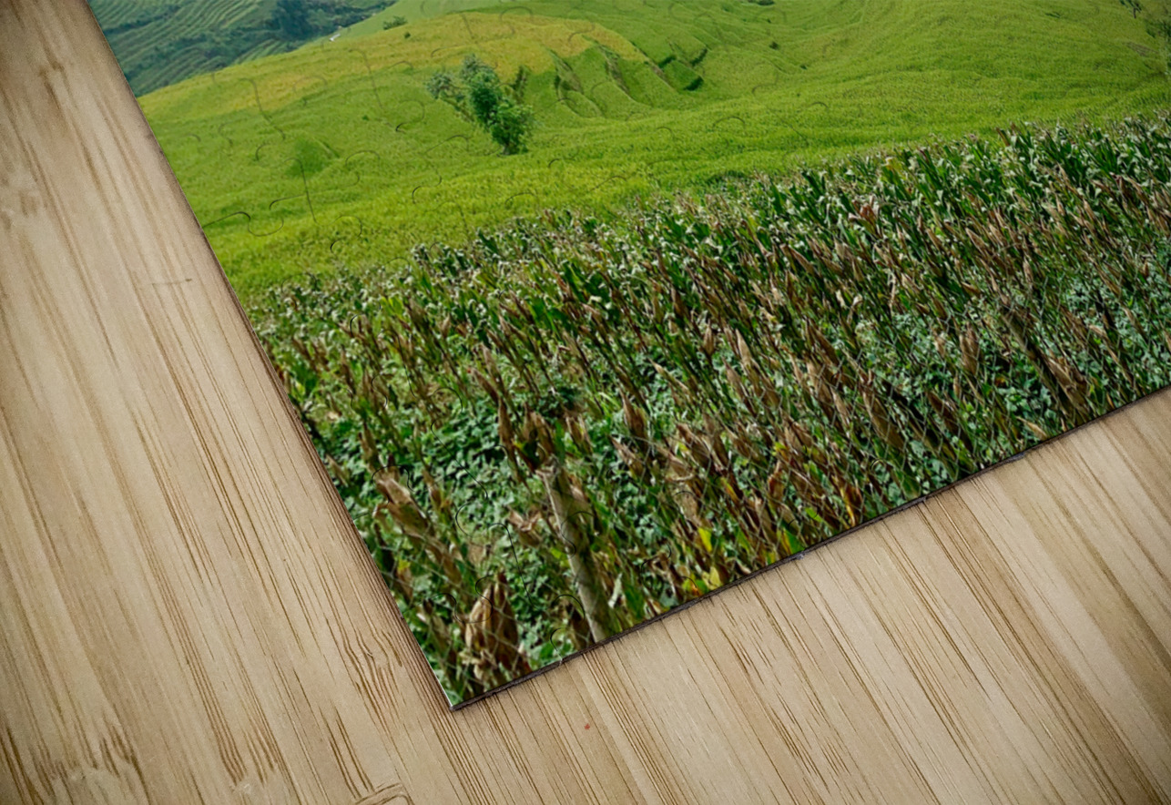 Rice Fields in Sapa 3 Jimmy Roy Photos Puzzle