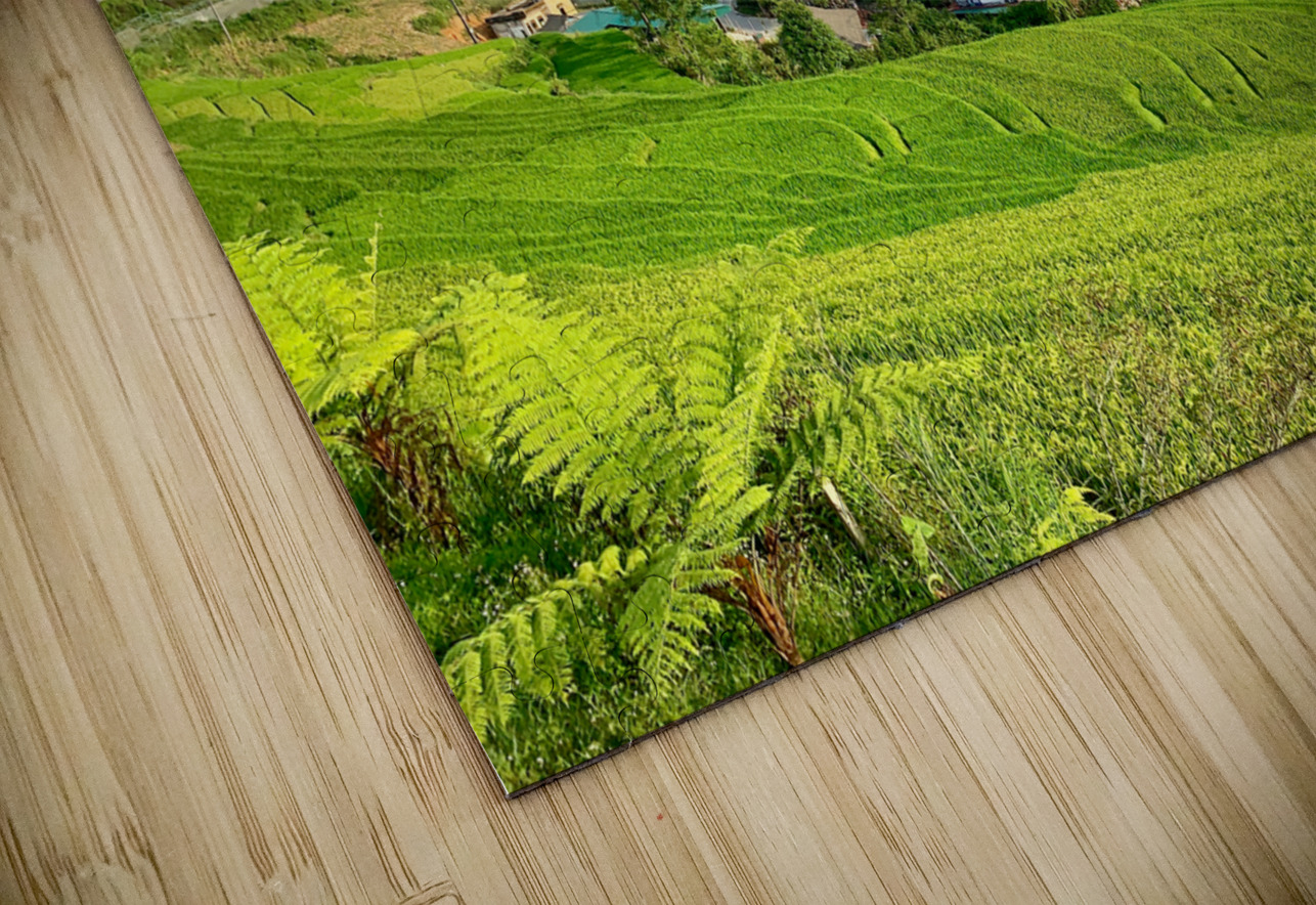 Village in the Rice Fields Sapa Jimmy Roy Photos Puzzle