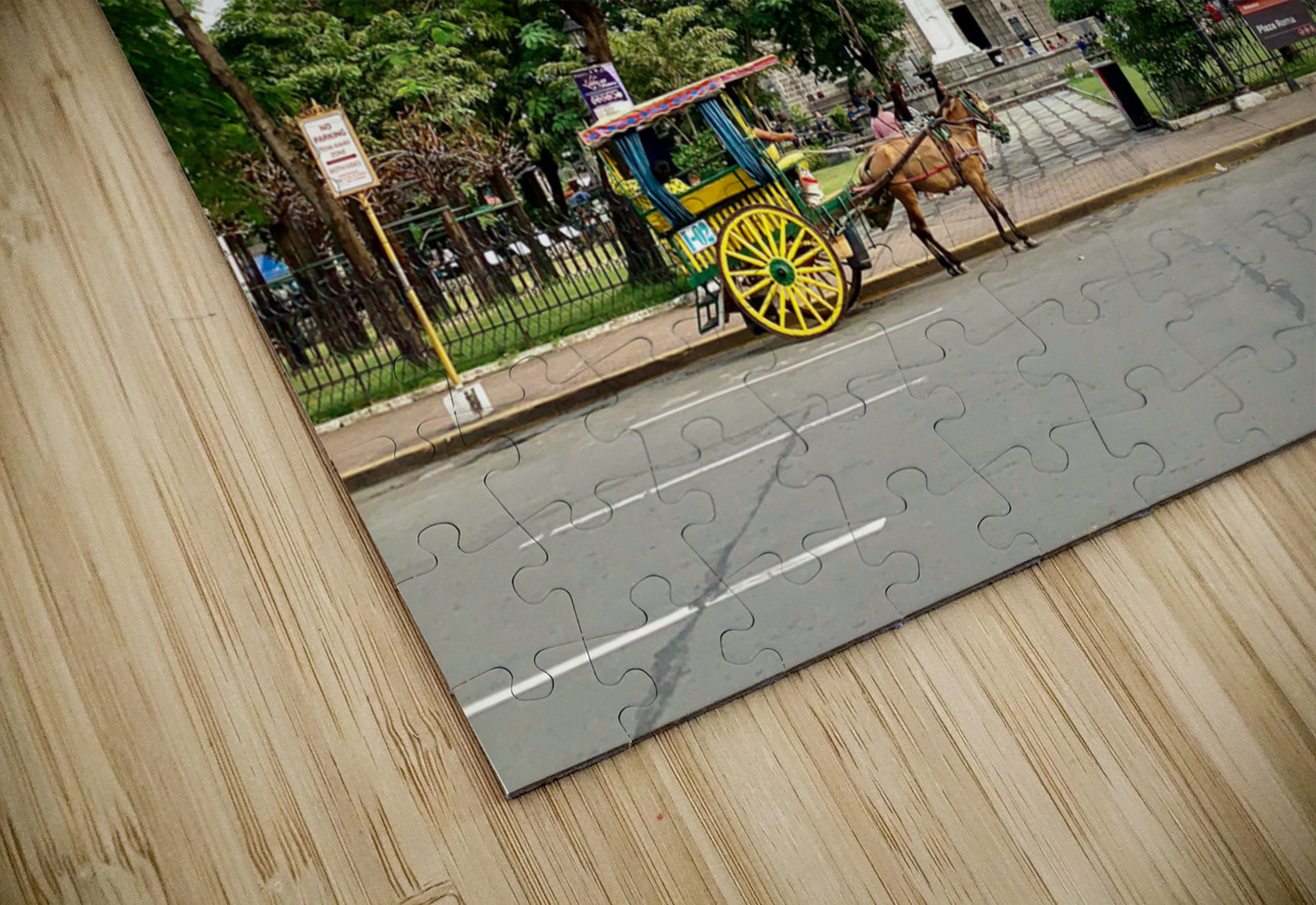 The Manila Cathedral Jimmy Roy Photos Puzzle