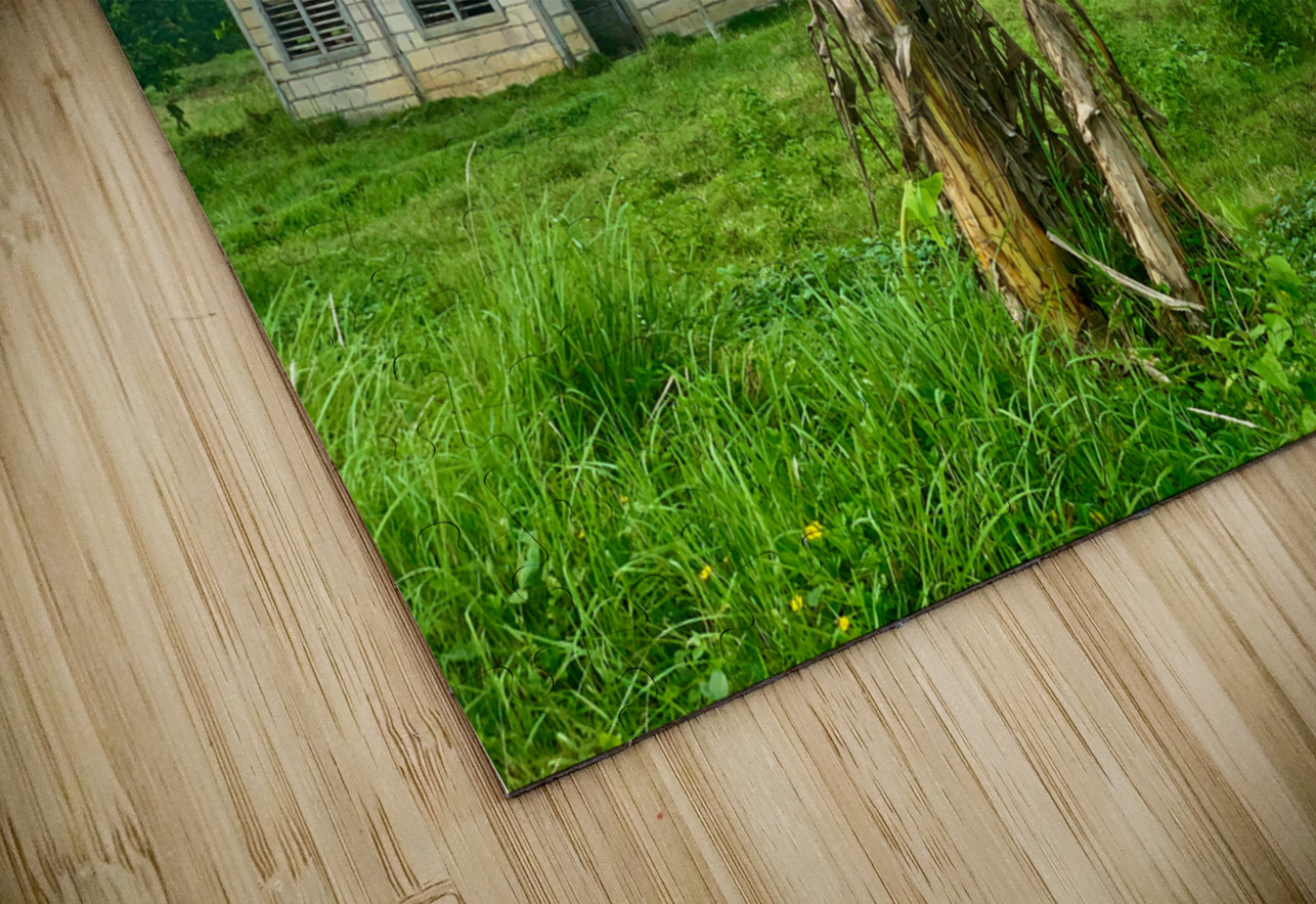 House on the Farm in the Philippines 1 Jimmy Roy Photos Puzzle